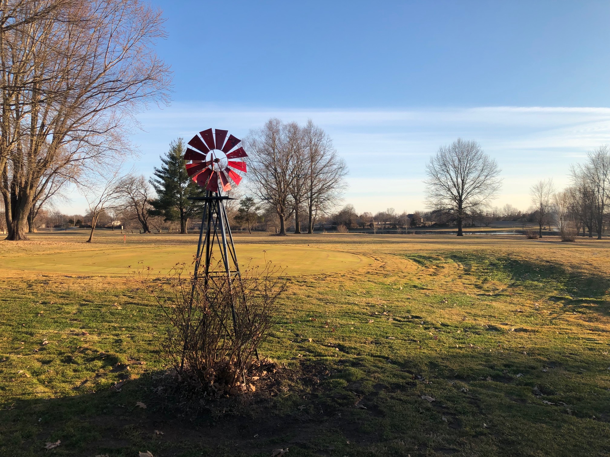 Image of golf ball on tee on grass.