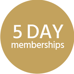 Wildcat - 5 Day Senior Membership with Yearly Trail Fee